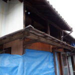 サムネイル:天井